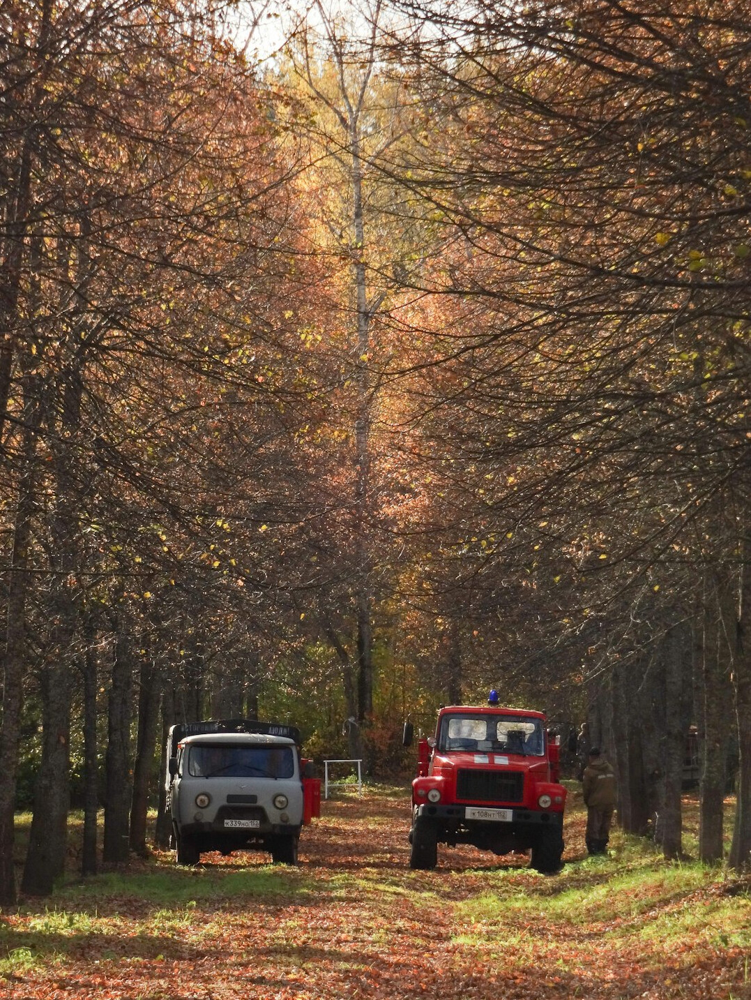 Vintage rally cars driving on a rural road